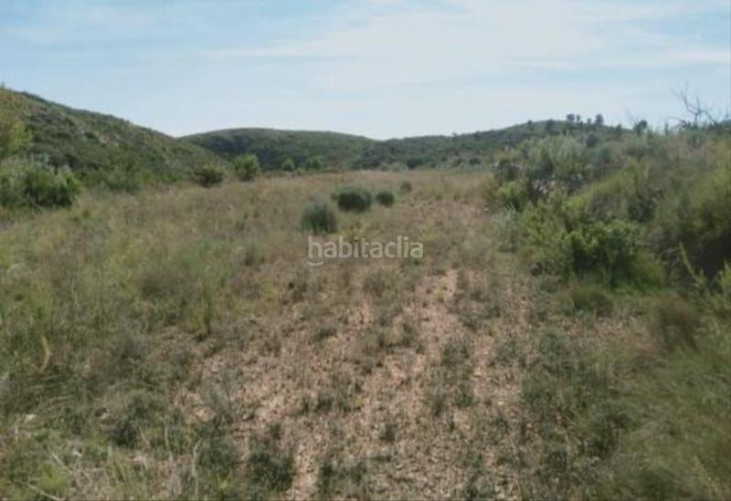 Foto ef104977-f73a-4536-85c3-44d1f6fb4bf9. Bauernhof in Bugarra