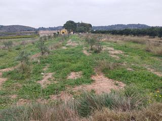 Residential Plot in Vilamarxant