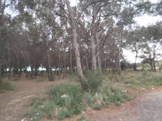 Terrain résidentiel à Camí de Paterna-Lloma del Calderer