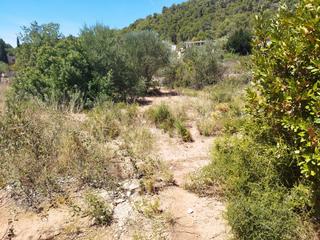Terreno residenziale in Serra