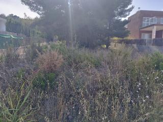 Residential Plot in Urbanizaciones