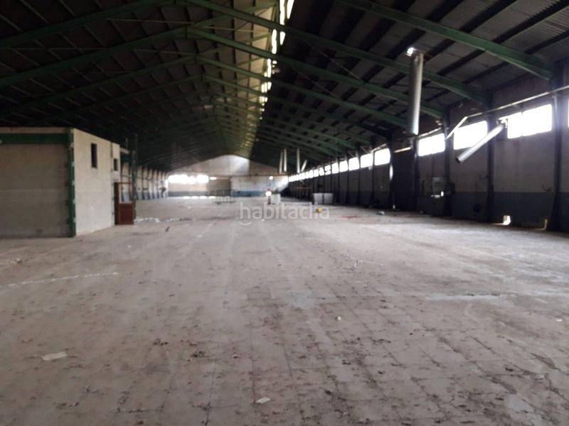 Foto cb19fdec-abbd-4d99-8ab7-ba5d6ffed093. Miete geschäftsraum in Bocairent