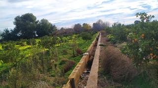 Terrain résidentiel à Los Pinares-La Masia. A unos 5 km de la población.  campo de naranjos.  camino asfalta