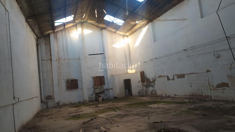 Foto 692419e8-accf-4131-aa41-fa8ed9228158. Fabrikhalle in Polígono del Aeropuerto Manises