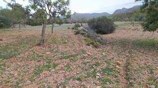 Finca rústica a Casco Antiguo. Hay aprox. 5 chalets junto la parcela.  muy cerca de la base mil