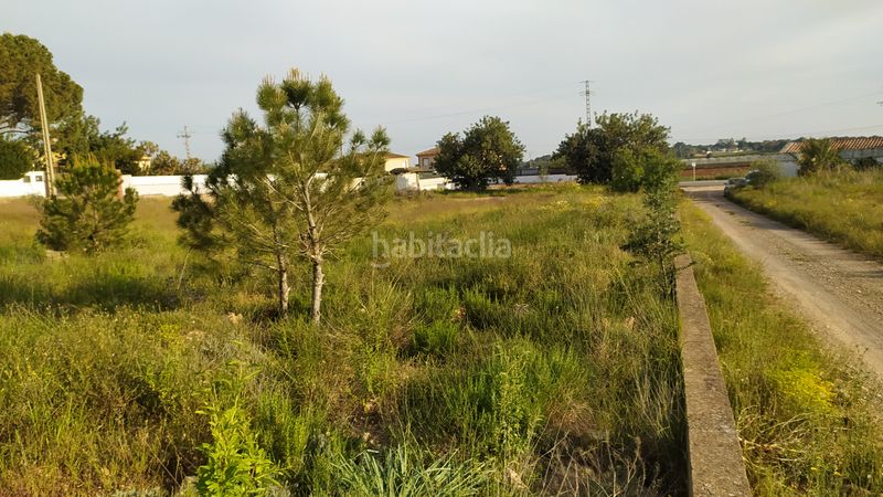Foto 164f69c5-702b-4392-ab2e-6936c8c3bd85. Terreno residencial parcela rustica valencia romeral . en Marines