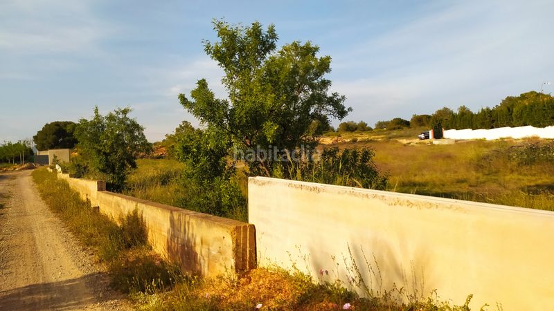 Foto f408040e-4019-492e-a43b-5fb5943b8879. Terreno residencial parcela rustica valencia romeral . en Marines