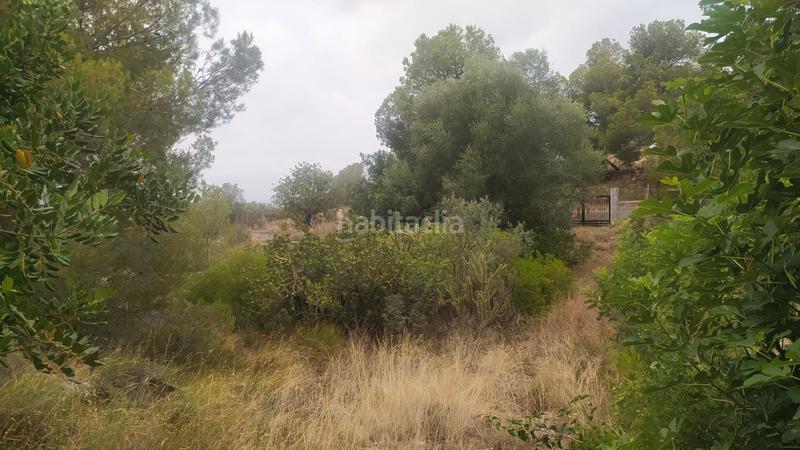 Foto 1975db68-7cc2-43ca-94be-a77e1bf1e99a. Finca rústica a Riosa