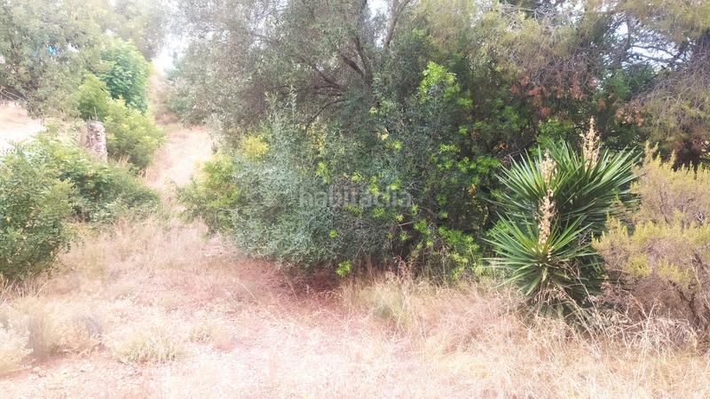 Foto 921781a3-2876-4c82-b533-c4fa9b1291b2. Finca rústica a Riosa