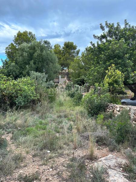 Foto e3f16658-b7aa-46ca-adbb-b0c7e69276a4. Finca rústica a Riosa