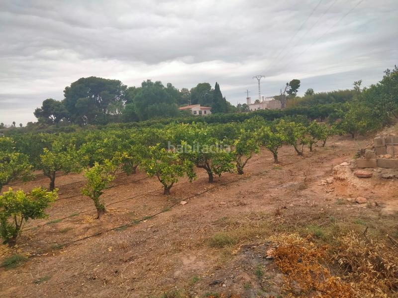 Foto 4fc084d7-89ca-43a8-82e9-f92184f44f43. Casa finca rústica con 8 hanegadas de naranjos, 3 oliveros, 3 alemendros, 1 limonero. en Bétera