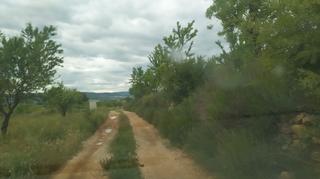 Finca rústica a Casco Antiguo. A unos 9 km de la población.  tiene 140 almendros y 22 garrofero