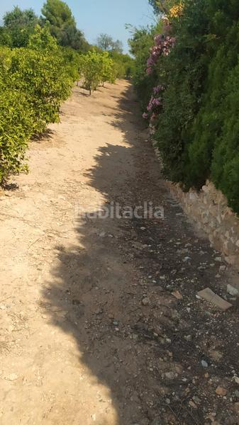 Foto 4d61f1f2-40b4-48a1-80eb-77e2dde54db2. Finca rústica a La Conarda-Montesano Bétera