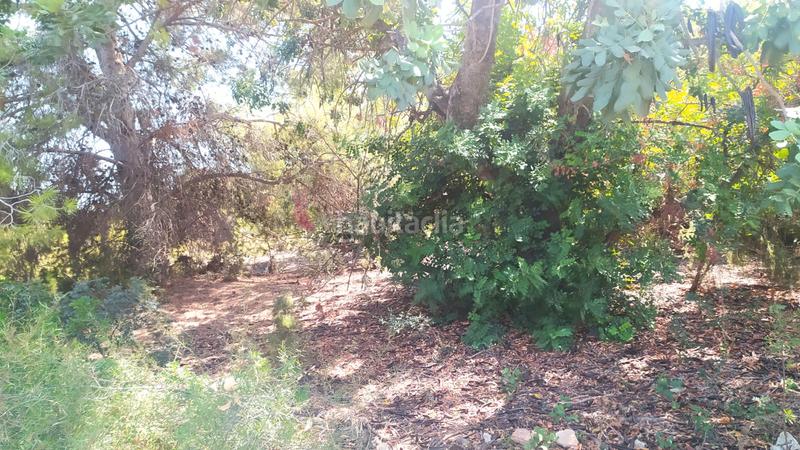 Foto 9308c487-bc37-4fb3-ac1b-282918564a79. Finca rústica a La Conarda-Montesano Bétera