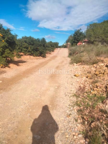 Foto 0e77a568-4a58-42b3-b2f0-0fff3d7c3cf1. Casale in Centro Bétera