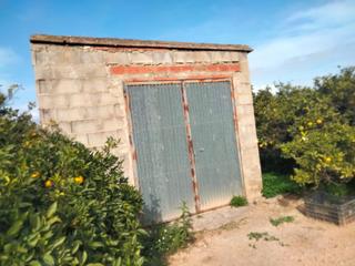 Finca rústica en Los Pinares-La Masia. Campo de naranjos (naranja lane-late, tienen 5 años).  con una c