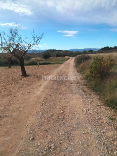 Foto 3f344dfa-aa0d-4a90-8749-da5bbc3978b8. Finca rústica a Casinos
