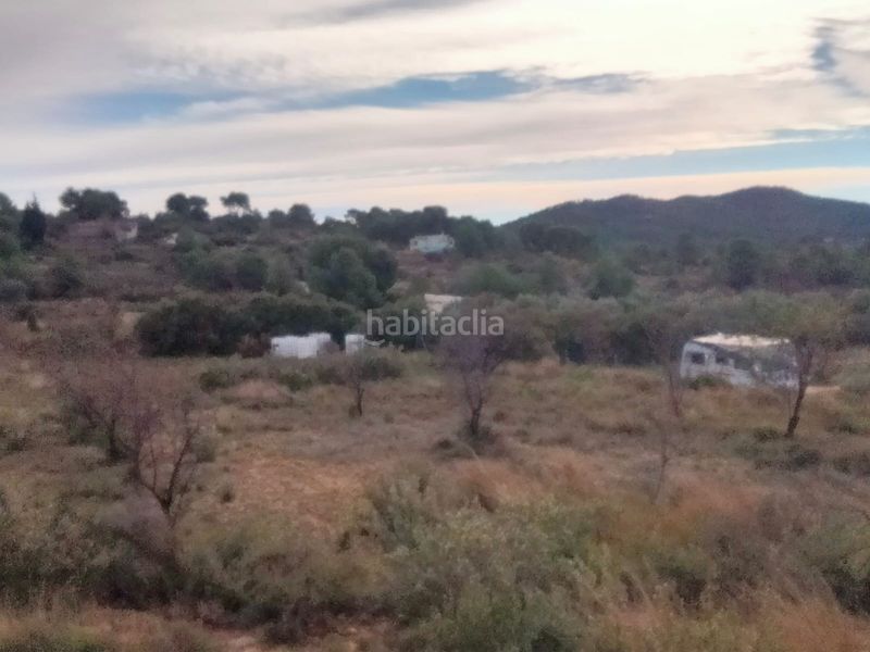 Foto 6074c230-6008-4d6c-affc-4b50ec60dd9d. Finca rústica a Casinos