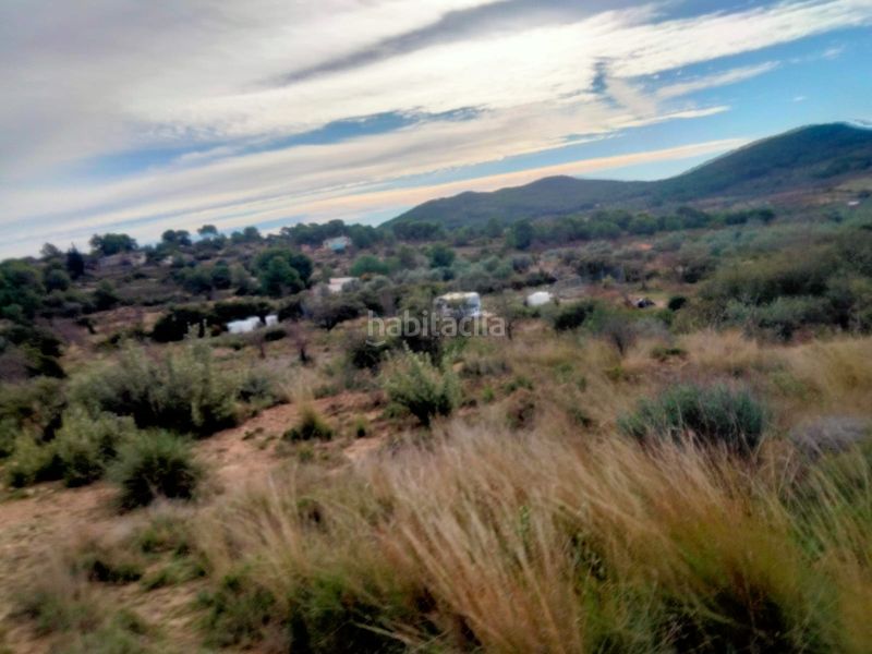 Foto b6ac9a59-d48d-4ce6-8b7a-f2eb59550035. Finca rústica a Casinos