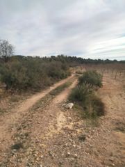 Finca rústica a Casinos