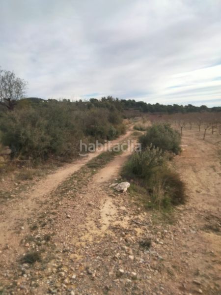 Foto d9d6cad3-4083-484c-9458-33c9dd5a83f8. Finca rústica a Casinos