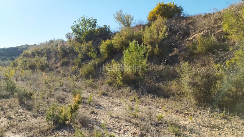 Foto 33507532-596b-4ac1-a9d4-5a3653beb771. Bauernhof in Bugarra