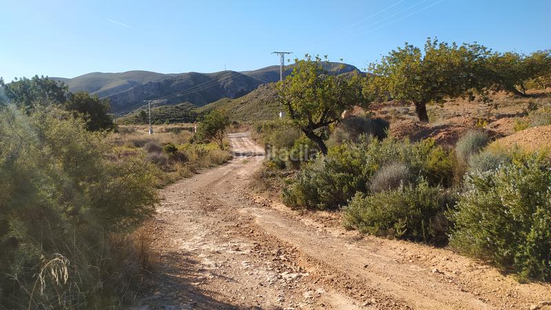 Foto 55431638-6c85-46d3-b236-12e038b555e5. Bauernhof in Bugarra