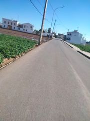 Rural plot in Almàssera. Son 2 parcelas agrícolas.