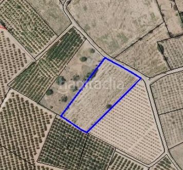 Foto 5d9fabb2-001b-4e87-8e91-8dcb3e92833d. Finca rústica a Los Pinares-La Masia Bétera
