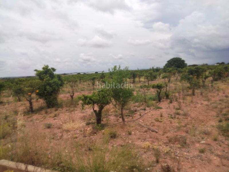 Foto 6e076f27-db08-436b-aa60-e0204e80af97. Finca rústica a Centro Bétera