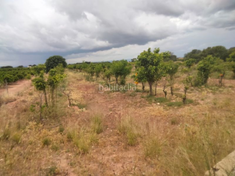 Foto a106c65e-e960-4ecc-8e61-ef54b5356c97. Finca rústica a Centro Bétera