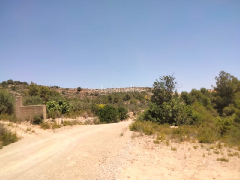 Foto a278348b-6115-44a9-8330-fc5d29ddd0ef. Finca rústica a Benaguasil