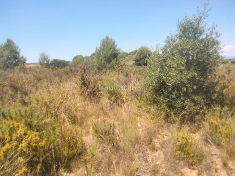 Foto 57a4fecf-44ea-4a83-8975-91b2a9068a21. Finca rústica a Godelleta
