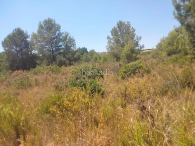 Foto 64cfb421-8ed4-427a-a60d-12ca9eb0cdf1. Finca rústica a Godelleta
