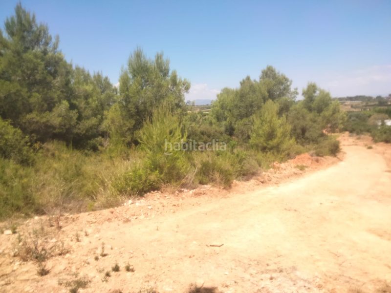 Foto 82dd5565-7982-4230-bdda-e0ec3ea83417. Finca rústica a Godelleta