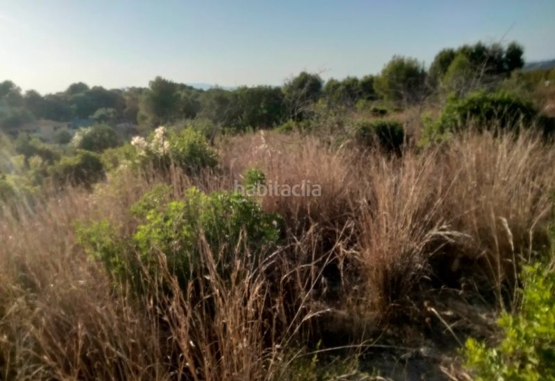 Foto c0ade12e-8570-487c-a7ba-45d9f8dfc95c. Landgut in Zona Avenida al Vedat Torrent