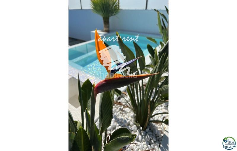 Foto 469e71a3-35c3-4959-8e61-acb003030621. Casa amb aparcament piscina a Cap Ras - Creus - Falconera Empuriabrava