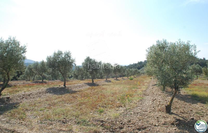 Foto 01dff5e1-a237-4afd-9d08-4b9f25f67561. Finca rústica parcela en venta de 400m2 en Garriguella