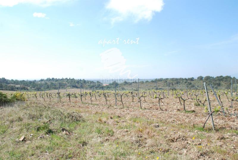 Foto 3c3b8f7c-2a87-47e9-aa4e-deca0d36cf4e. Finca rústica parcela en venta de 400m2 en Garriguella