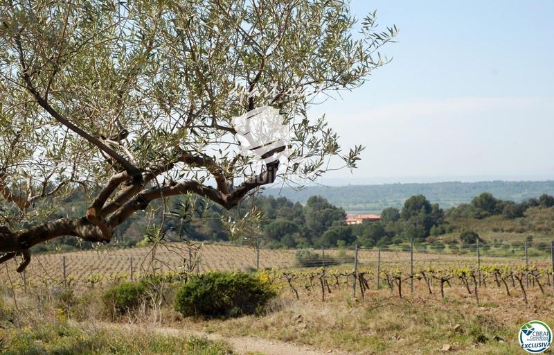 Foto 43d6c9ed-dfde-4f7f-acbc-88681b5dbad9. Finca rústica parcela en venta de 400m2 en Garriguella