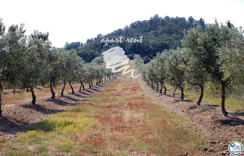 Foto 5e0148fe-15b3-4a68-8408-e76da0d69924. Finca rústica parcela en venta de 400m2 en Garriguella