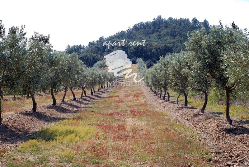 Foto 75e2e847-2523-41ab-8458-5aefe24e198d. Finca rústica parcela en venta de 400m2 en Garriguella