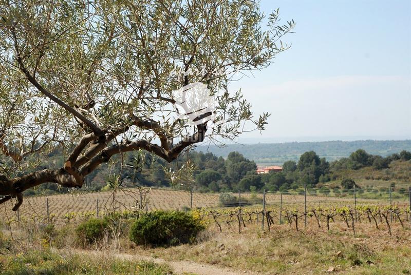 Foto fb991e99-381e-4865-b12c-2b90ce54c280. Finca rústica parcela en venta de 400m2 en Garriguella