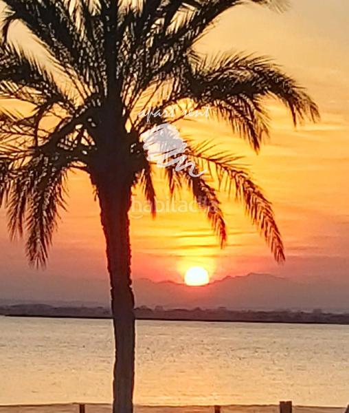 Foto 89503d38-df86-480c-9c90-28da97bb4975. Appartement dans Centre Roses