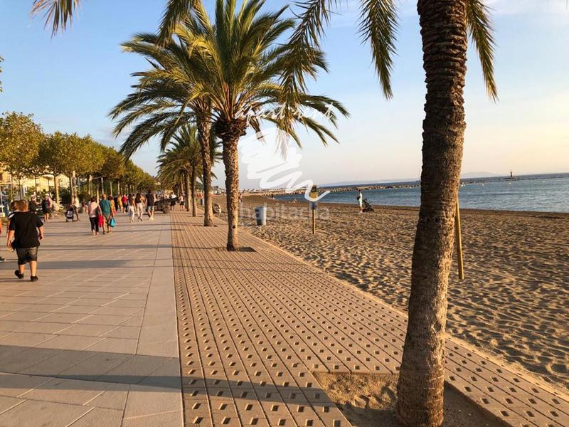 Foto 8e89af09-887d-4ea2-ada2-32508e26b239. Appartement dans Centre Roses