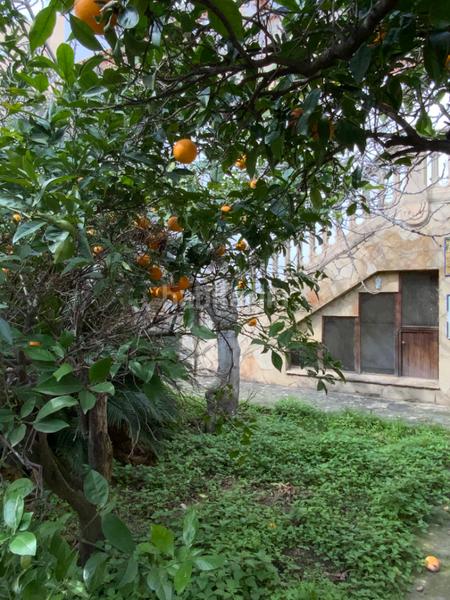 Foto 74cd456a-bd9a-4479-8189-f8ee188d91e7. Casa adosada en el centro con jardín privado de 340 m² en Mataró