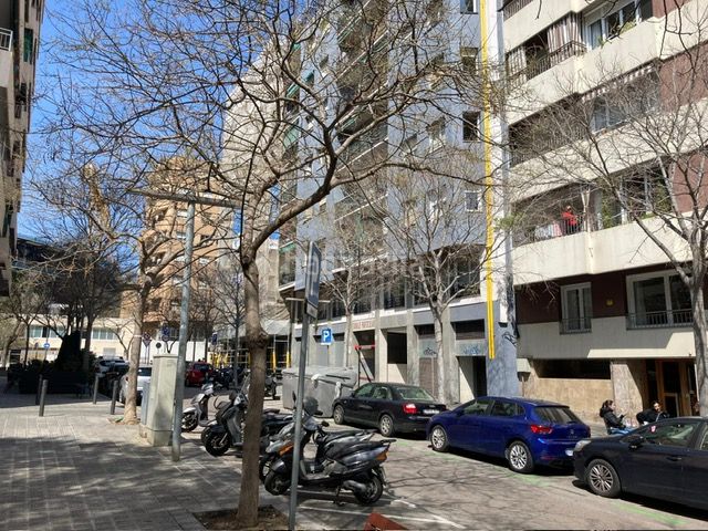 Foto 8cfeb6d2-a0b3-47d1-8da0-0c5a5694235b. Pis a Sant Ramon - Maternitat Barcelona