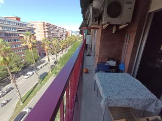 Pis  Paseo zona franca. Piso de 100 m2 muy soleado y luminoso en paseo de zona franca