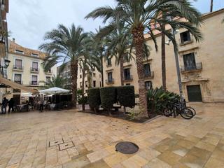 Appartement  Mayor