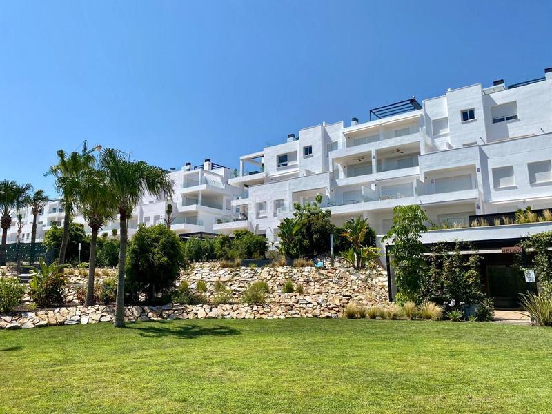 Foto cd13df54-0f78-455a-9c76-b895a3bed565. Àtic amb aparcament piscina a Los Balcones-Los Altos Torrevieja